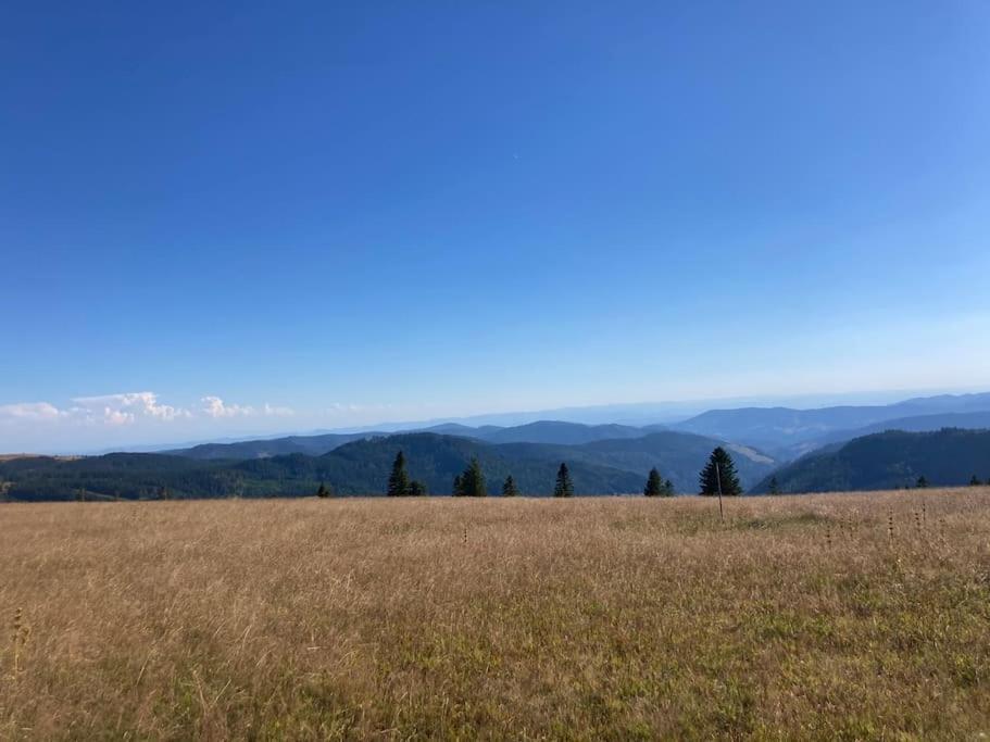 Feldberg Apartment - Direkt An Der Skipiste - Mit Sauna Extérieur photo