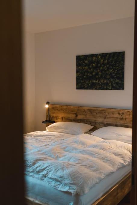 Feldberg Apartment - Direkt An Der Skipiste - Mit Sauna Extérieur photo