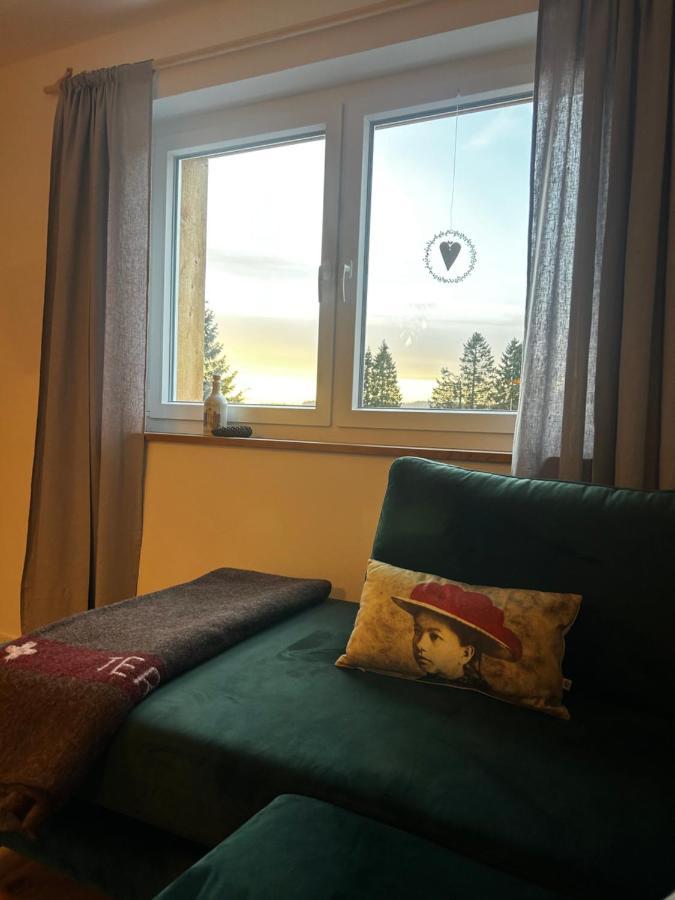 Feldberg Apartment - Direkt An Der Skipiste - Mit Sauna Extérieur photo
