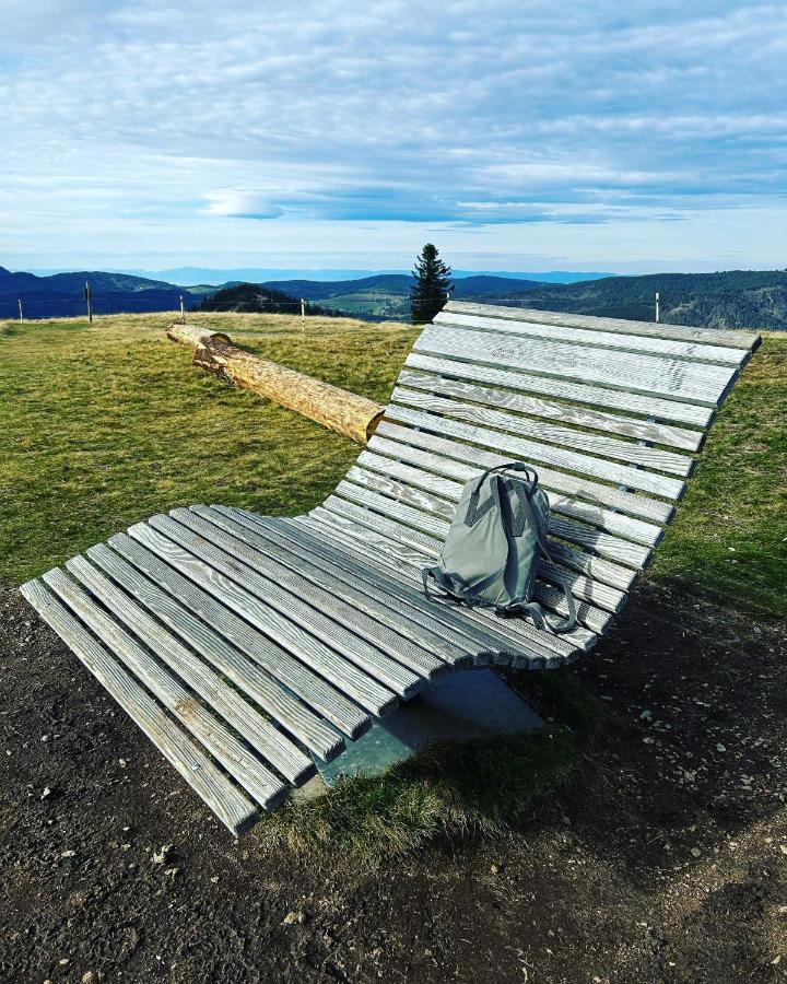 Feldberg Apartment - Direkt An Der Skipiste - Mit Sauna Extérieur photo