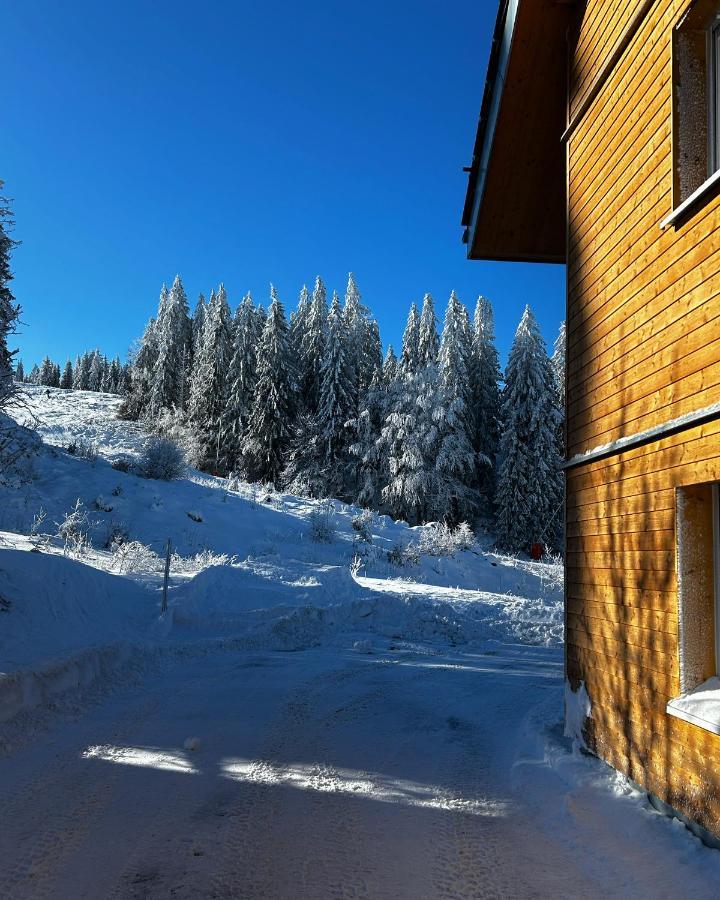 Feldberg Apartment - Direkt An Der Skipiste - Mit Sauna Extérieur photo