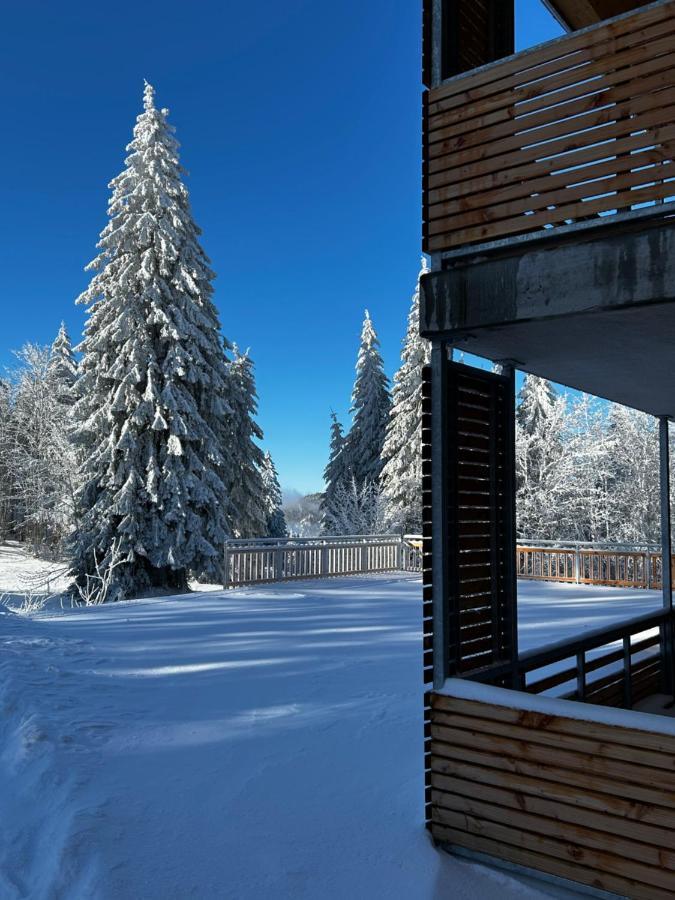 Feldberg Apartment - Direkt An Der Skipiste - Mit Sauna Extérieur photo