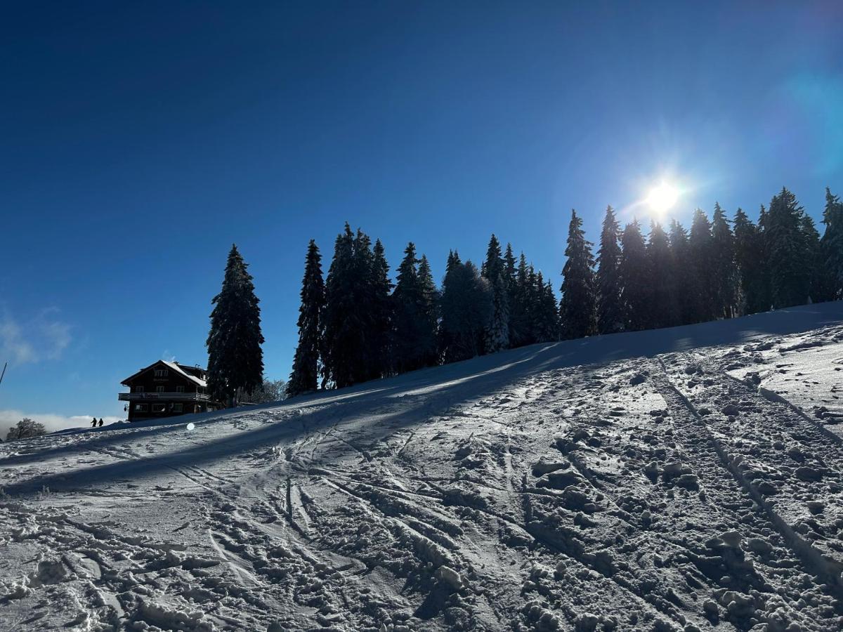 Feldberg Apartment - Direkt An Der Skipiste - Mit Sauna Extérieur photo