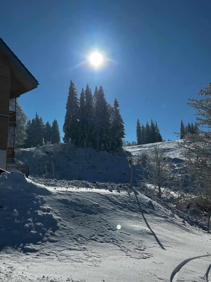 Feldberg Apartment - Direkt An Der Skipiste - Mit Sauna Extérieur photo